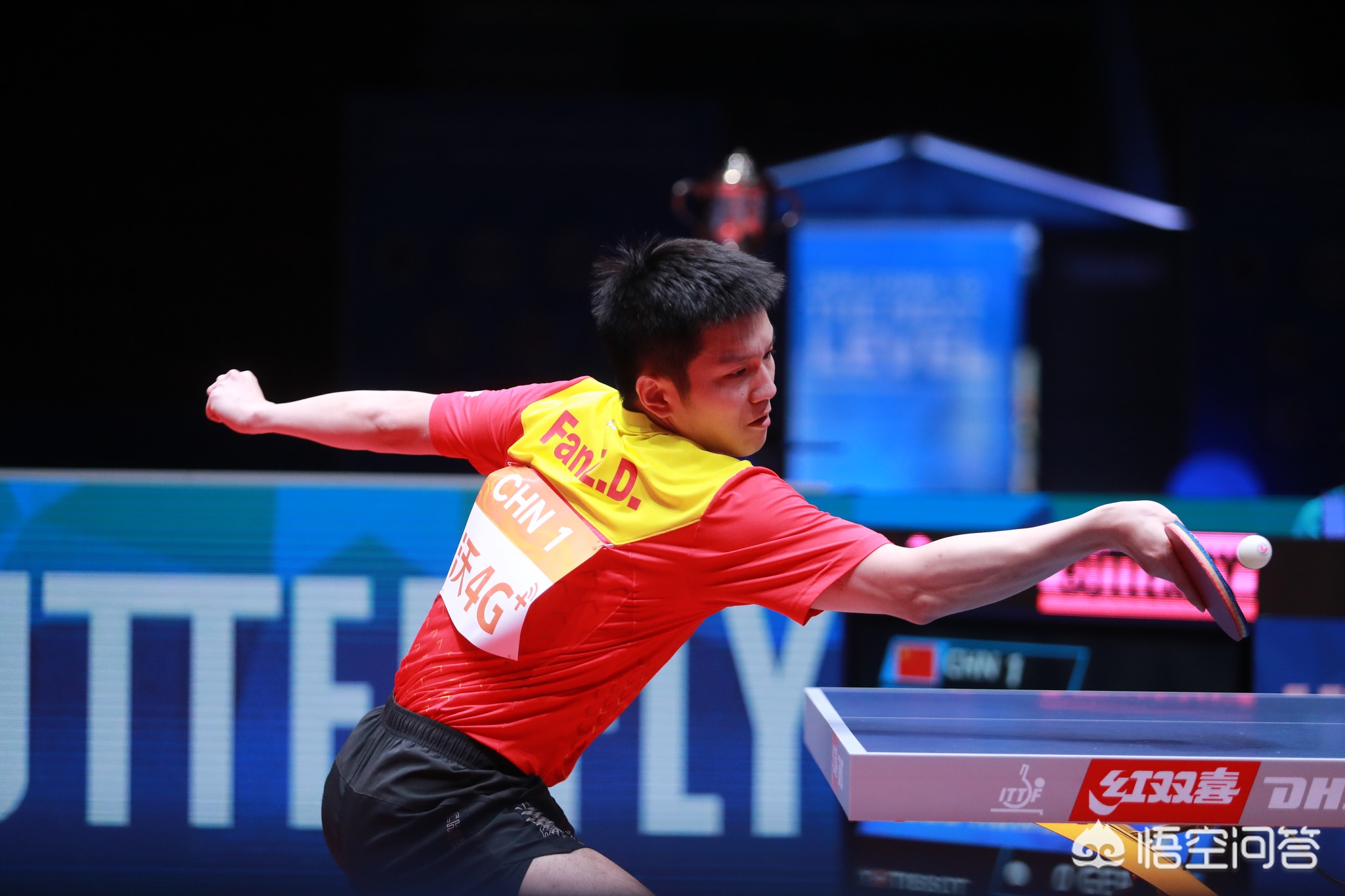 戴大卫锁定 戴大卫锁定