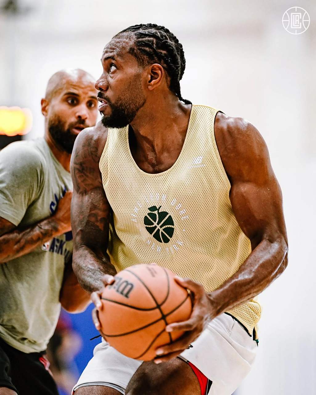 科隆并非任